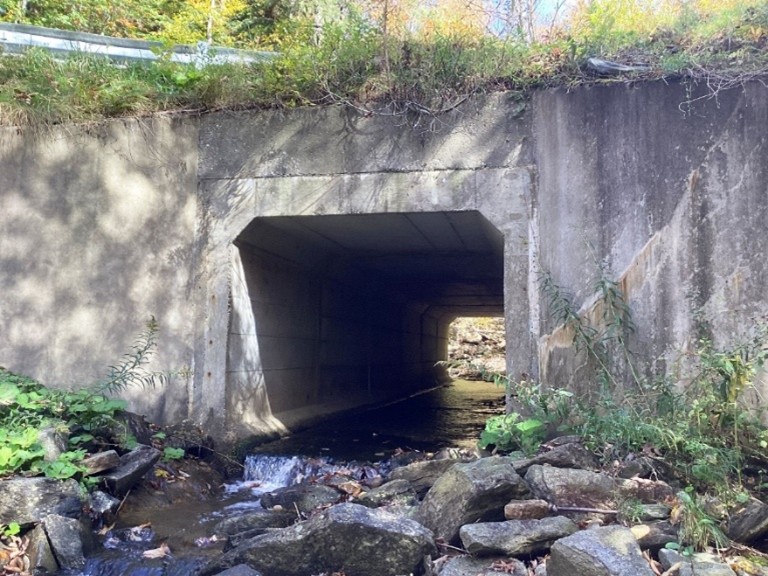 EXAMPLE OF BOX CULVERT